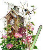 birdhouse-43.jpg