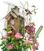 birdhouse-49.jpg