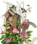 birdhouse-5.jpg