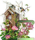 birdhouse-51.jpg