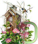 birdhouse-7.jpg