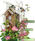 birdhouse-9.jpg