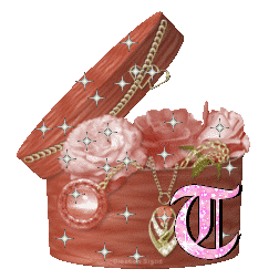 boitte-67657777754-20.gif