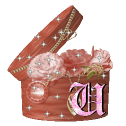 boitte-67657777754-21.gif