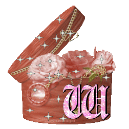 boitte-67657777754-23.gif