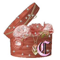 boitte-67657777754-3.gif
