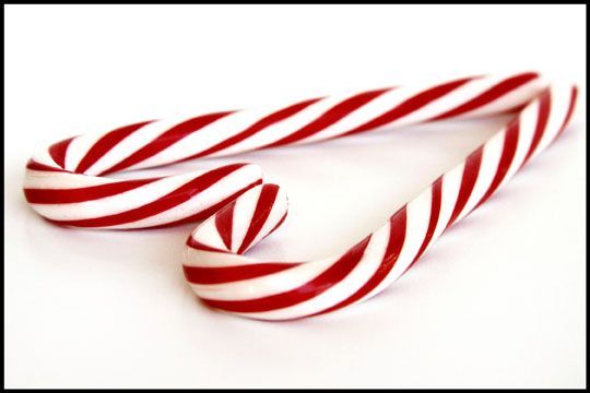 bonbon-41.jpg