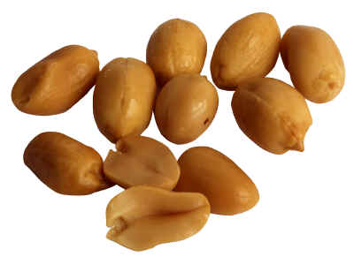 bonbon-83.jpg