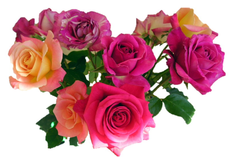 bouquet_mixed_roses_by_wasshere-d3o2rgs.png