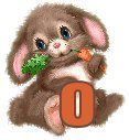 bunnywcarrot-15.jpg