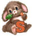 bunnywcarrot-19.jpg