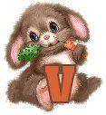 bunnywcarrot-22.jpg