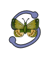 butterfly-s.gif