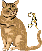 caat55445-1.gif