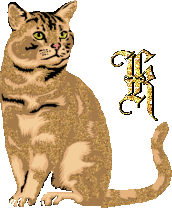caat55445-11.gif