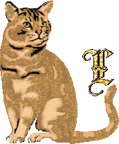 caat55445-12.gif
