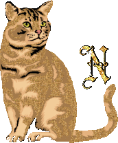 caat55445-14.gif