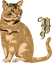 caat55445-16.gif