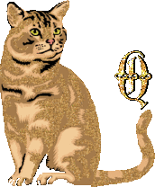caat55445-17.gif