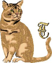 caat55445-20.gif