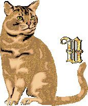 caat55445-21.gif