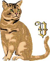 caat55445-22.gif