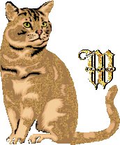 caat55445-23.gif