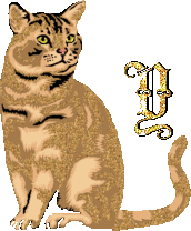 caat55445-25.gif