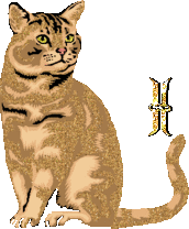 caat55445-9.gif