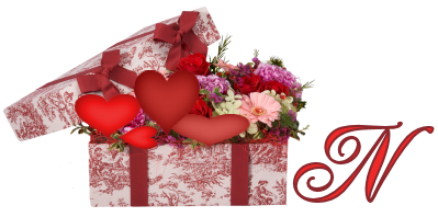 cadeau-clValentine-s-Flower-Box-A-14.png