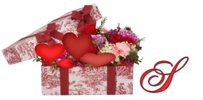 cadeau-clValentine-s-Flower-Box-A-19.png