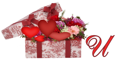 cadeau-clValentine-s-Flower-Box-A-21.png