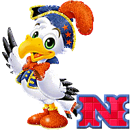 canard54-14.gif