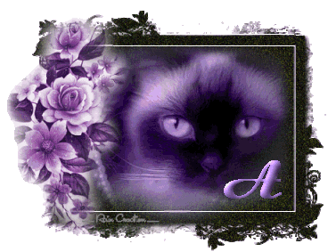 catt21-1_1-1.gif