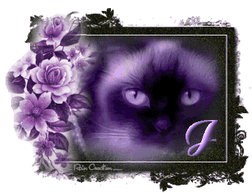 catt21-1_1-10.gif