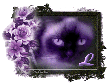 catt21-1_1-12.gif