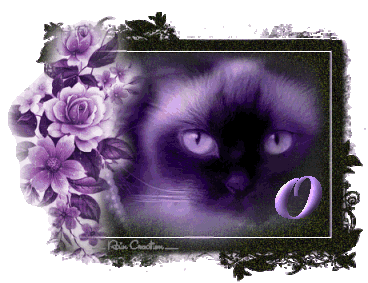 catt21-1_1-15.gif