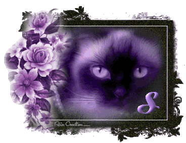 catt21-1_1-19.gif