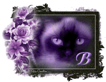 catt21-1_1-2.gif
