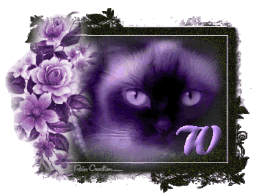 catt21-1_1-23.gif