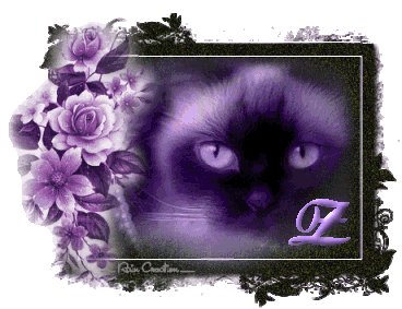 catt21-1_1-26.gif