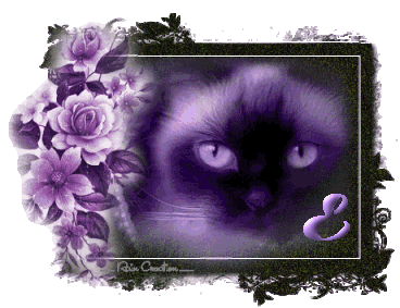 catt21-1_1-5.gif