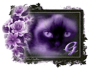 catt21-1_1-7.gif