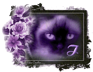 catt21-1_1-9.gif