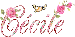 cecileParDamysap1.gif