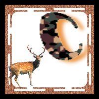 cerf-656565065050-3.jpg