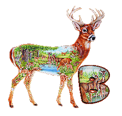 cerf-888-2.gif