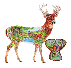 cerf-888-25.gif