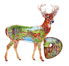 cerf-888-4.gif