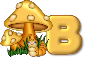 champignon-5605007777-2.png